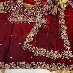 Premium Indian Jimmy Choo Saree